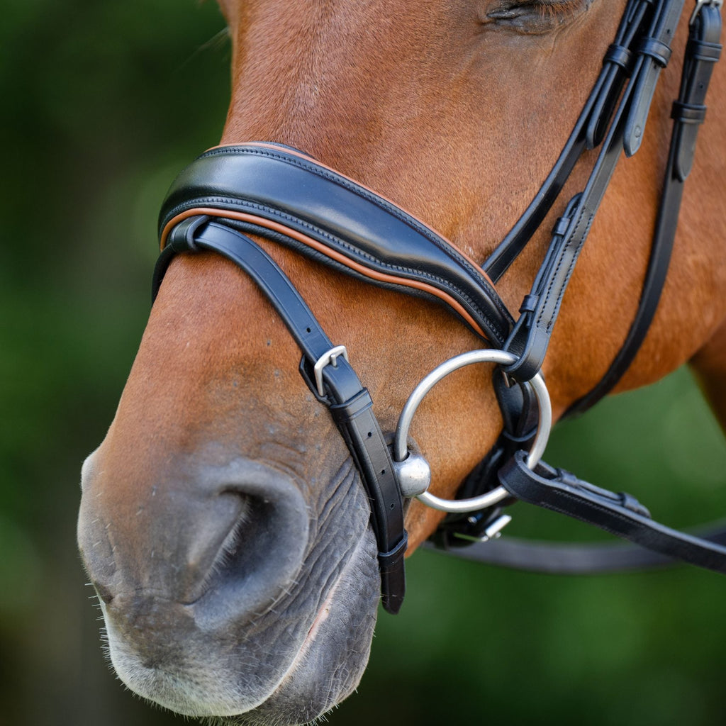 KL Select Elite Bridle