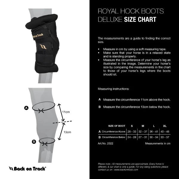 Back On Track Royal Padded Hock Boots | Black
