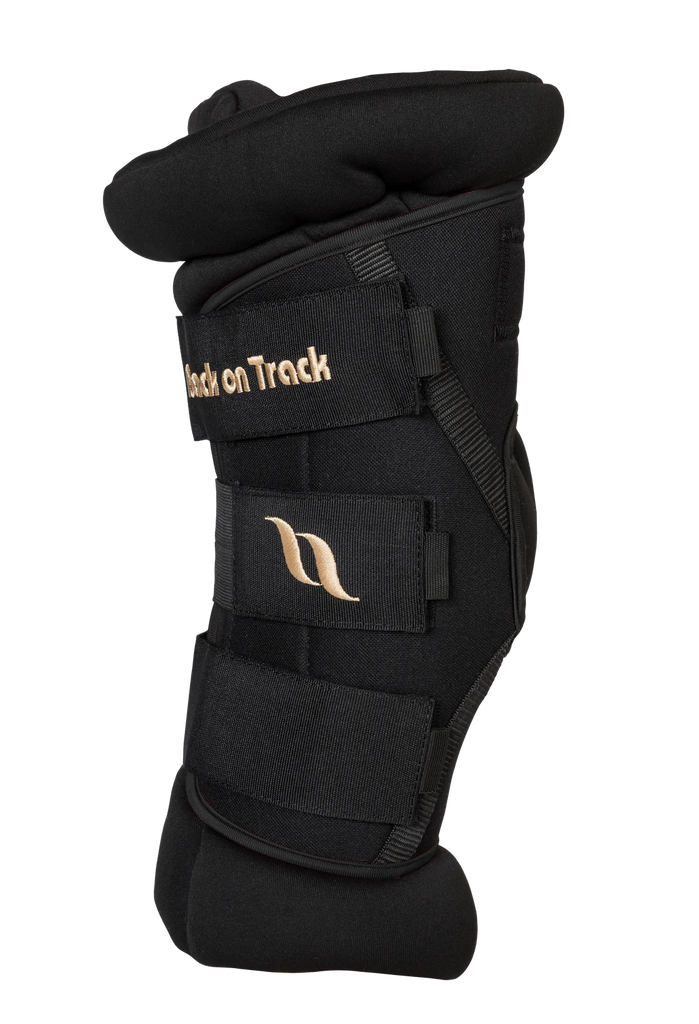 Back On Track Royal Padded Hock Boots Deluxe | Black