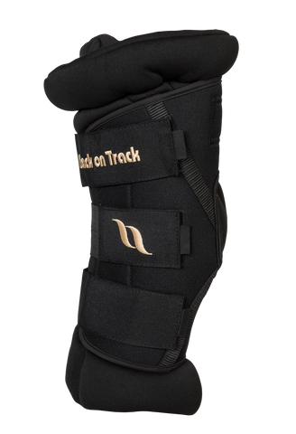 Back On Track Royal Padded Hock Boots Deluxe | Black