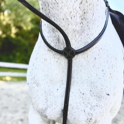 Red Barn 'No Donut' Martingale