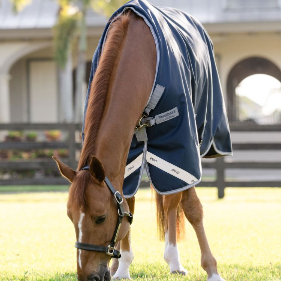 Amigo® 1200D Turnout 250g