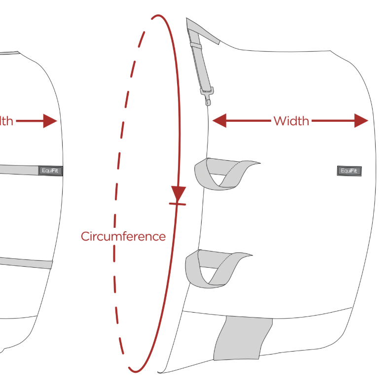Equifit BellyBand®+