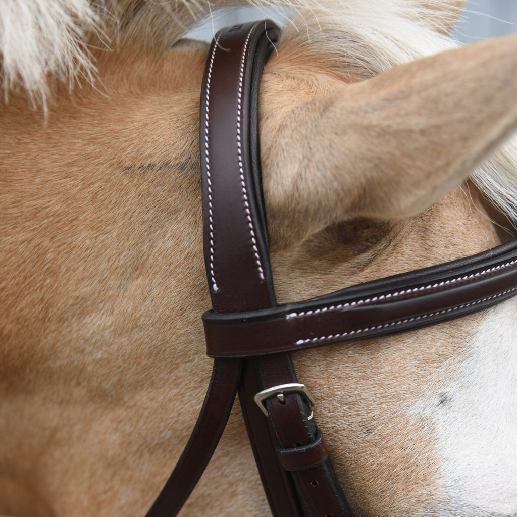 Red Barn Icon Bridle