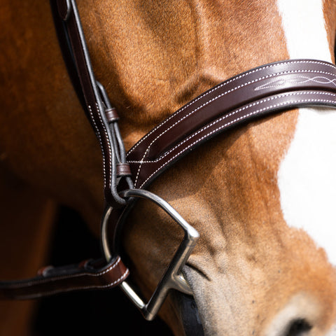 Red Barn Hudson Hunter Bridle