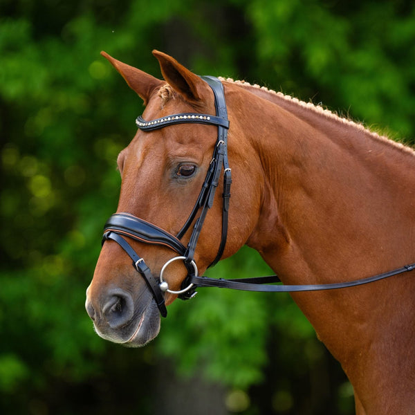 KL Select Elite Bridle