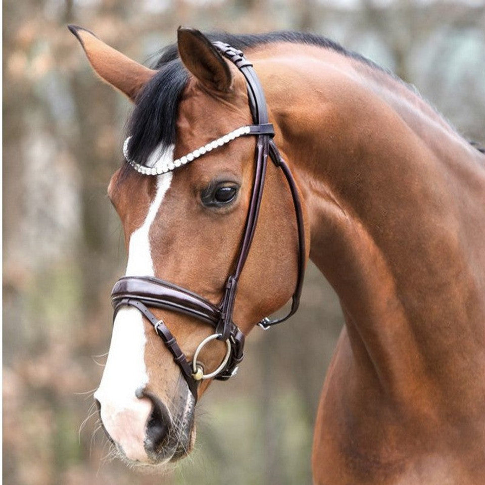 Kavalkade 'Florina' Dressage Bridle
