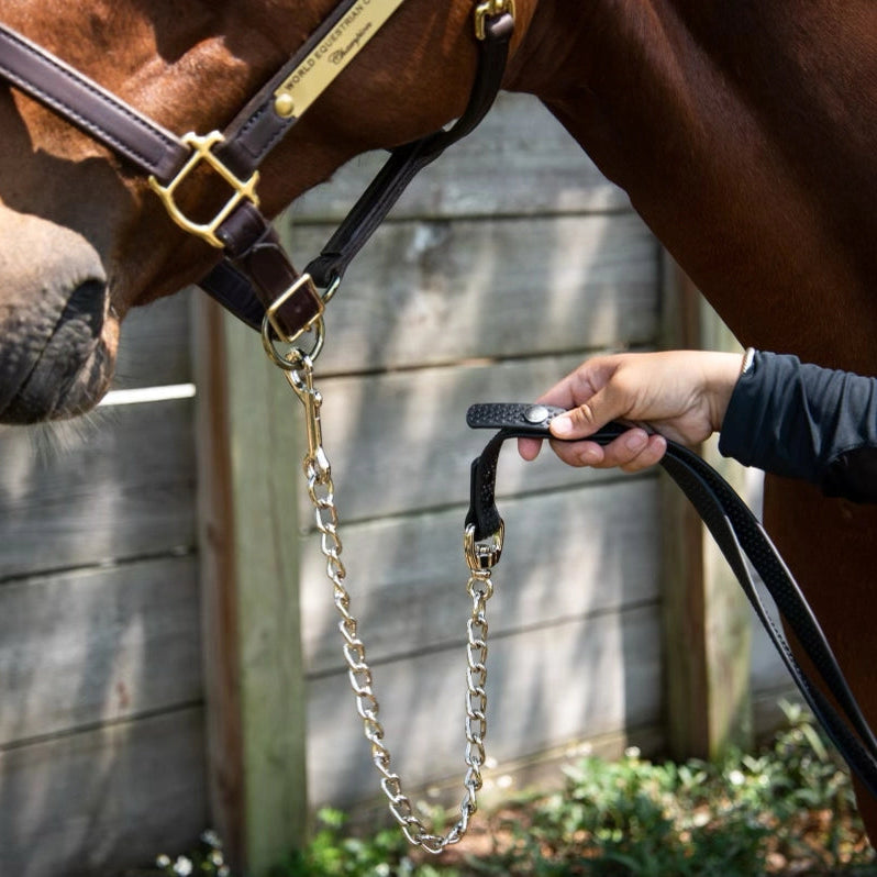 Close-up of a horse's head with a bridle, held by a person against a wooden fence.