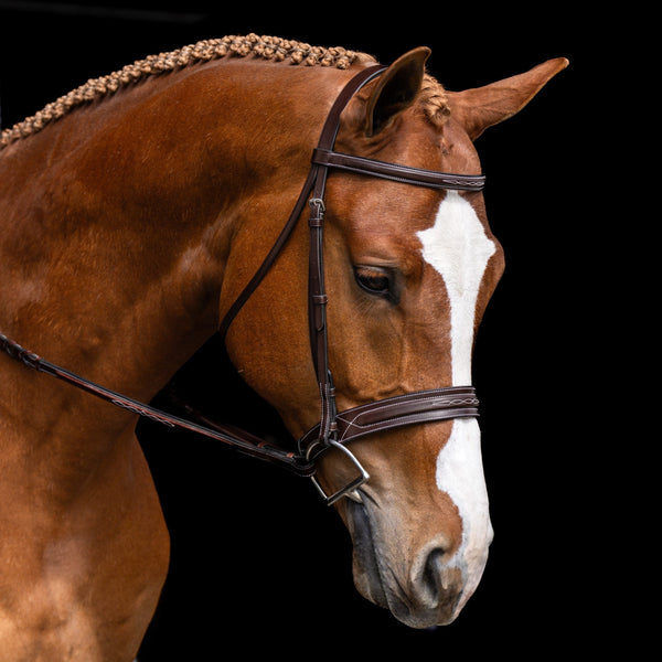 Red Barn Hudson Hunter Bridle