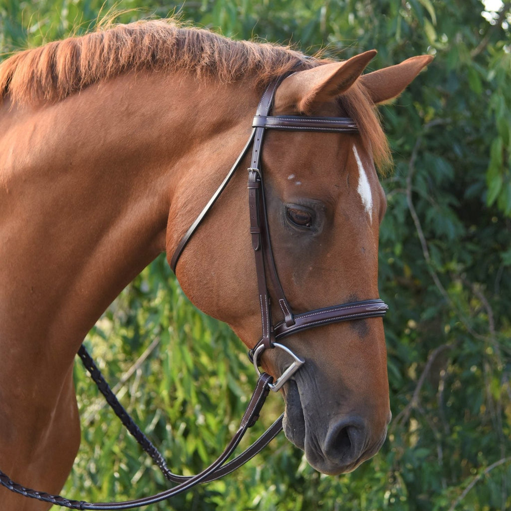 Red Barn Icon Bridle