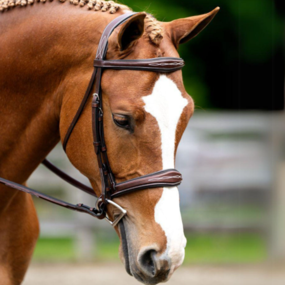 Red Barn Hampton Bridle