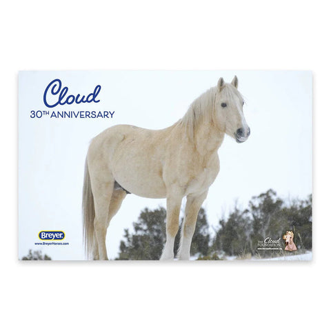 Breyer Cloud | 30th Anniversary Edition