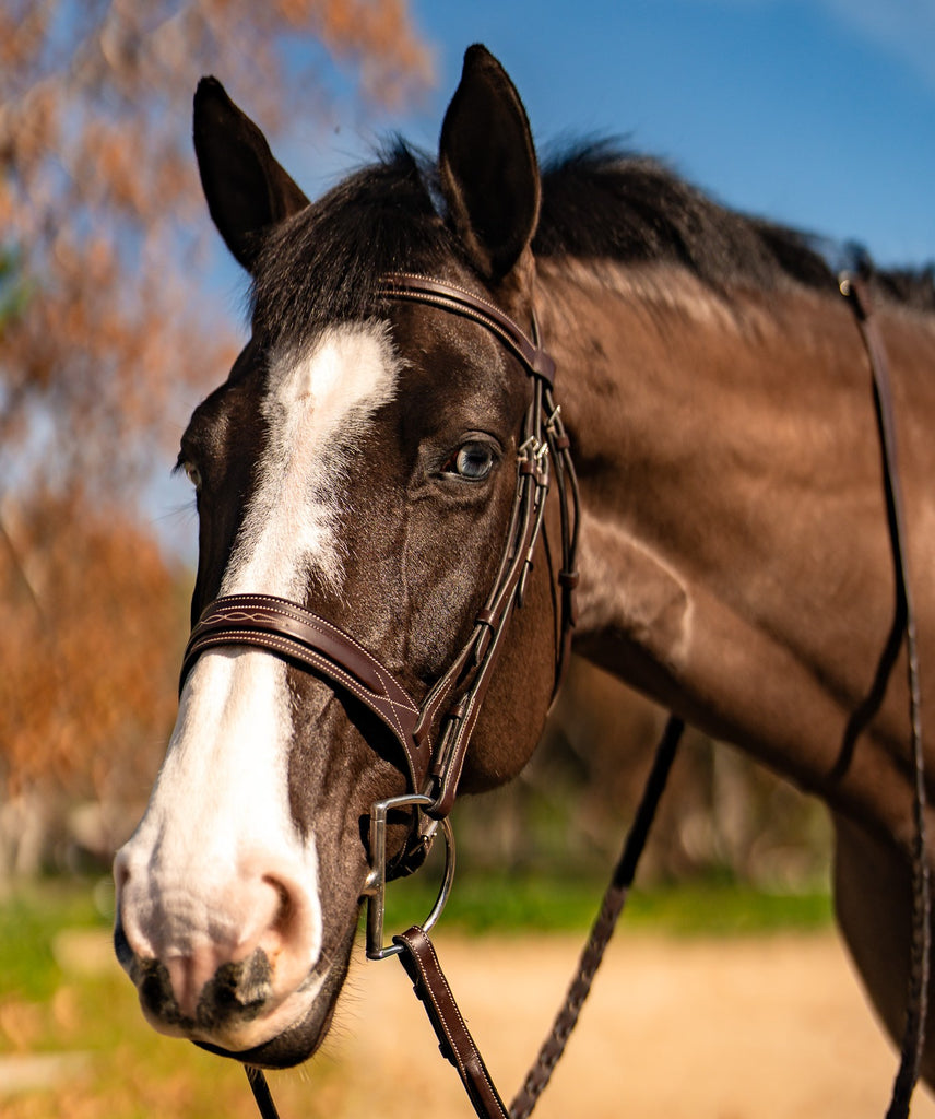 Red Barn Hudson Hunter Bridle