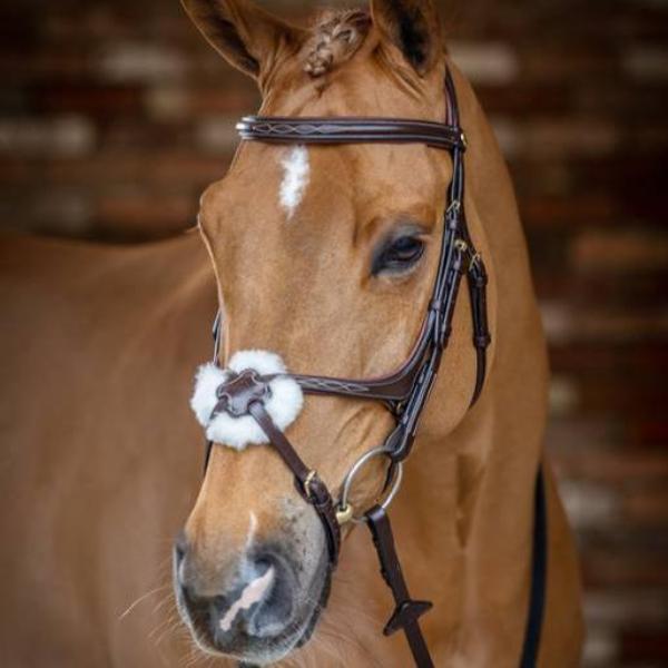 LeMieux Grackle Bridle | Havana