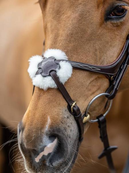 LeMieux Grackle Bridle | Havana