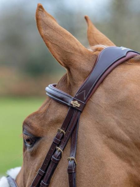 LeMieux Grackle Bridle | Havana