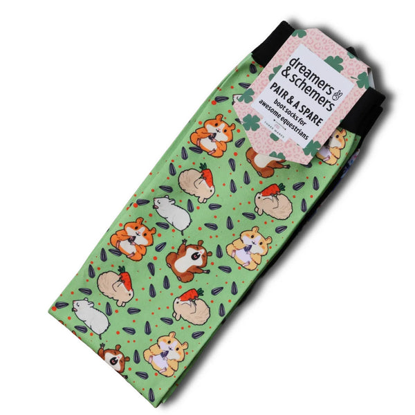 Dreamers & Schemers | Hampsters