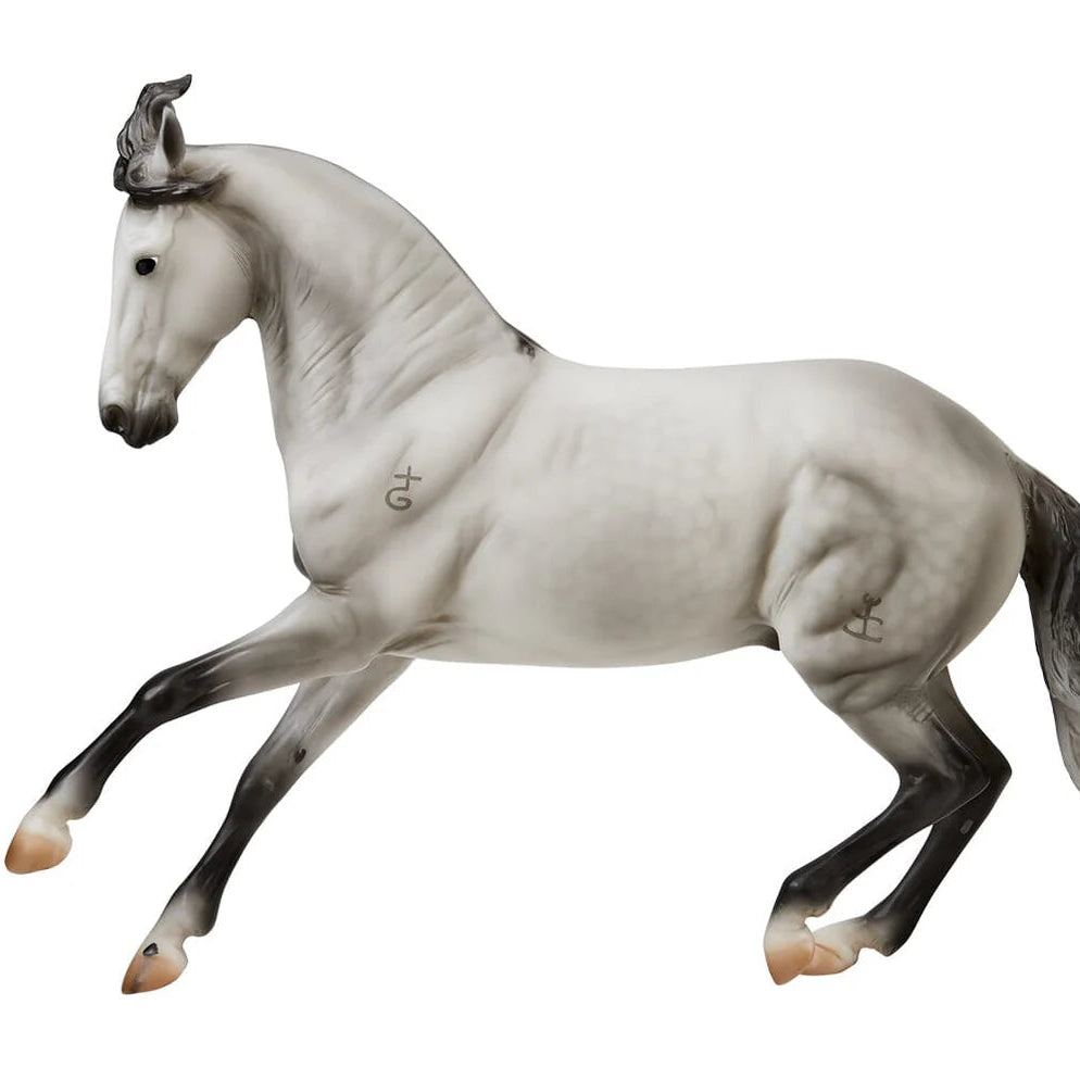 Breyer Jaguel Hilton | Criollo Stallion