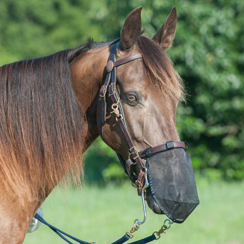 Cashel Fly Mask Nose Net