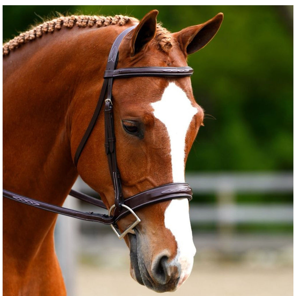 Black Oak Tupelo Bridle