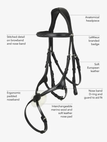 LeMieux Grackle Bridle | Havana