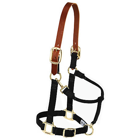 Weaver Nylon Breakaway Halter