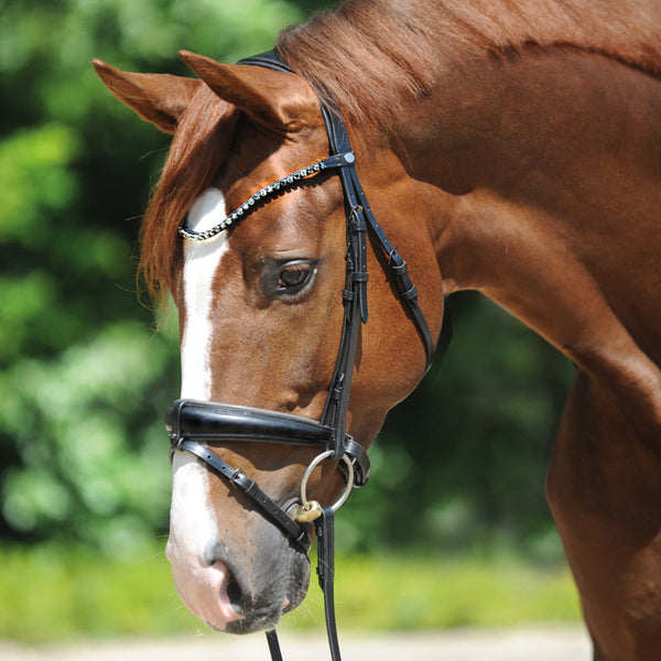 Kavalkade Grey Dressage Bridle