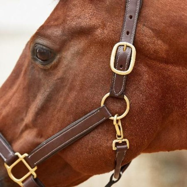 Black Oak Willow Leather Halter