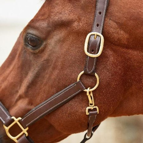 Black Oak Willow Leather Halter