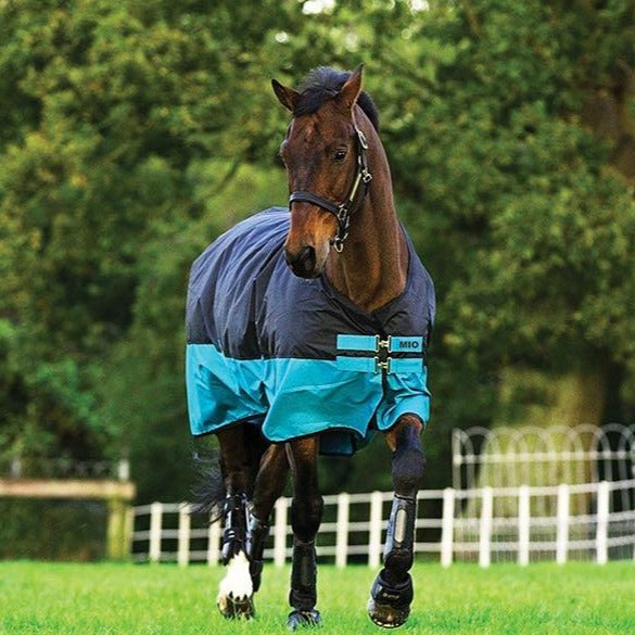 Mio 600D Turnout Blanket - Medium / 200g