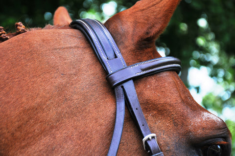 Black Oak Aster Hunter Bridle