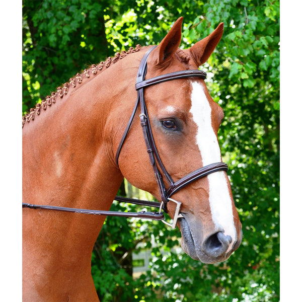 Black Oak Aster Hunter Bridle