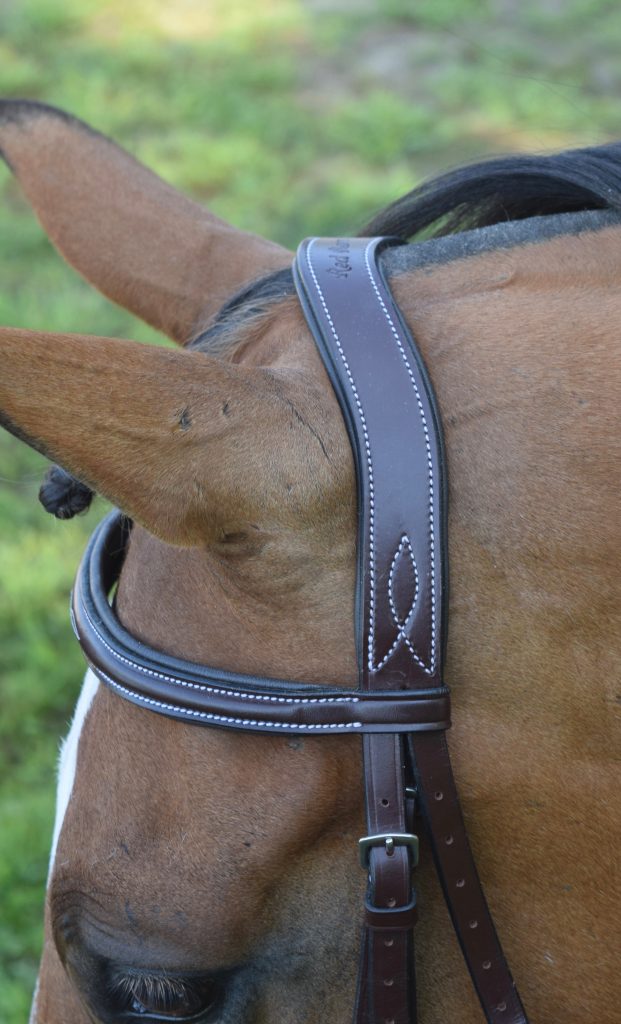 Red Barn Tuscany Hunter Bridle