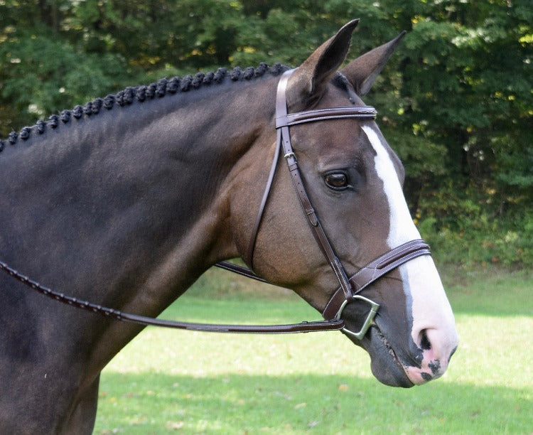 Red Barn Sonoma Hunter Bridle