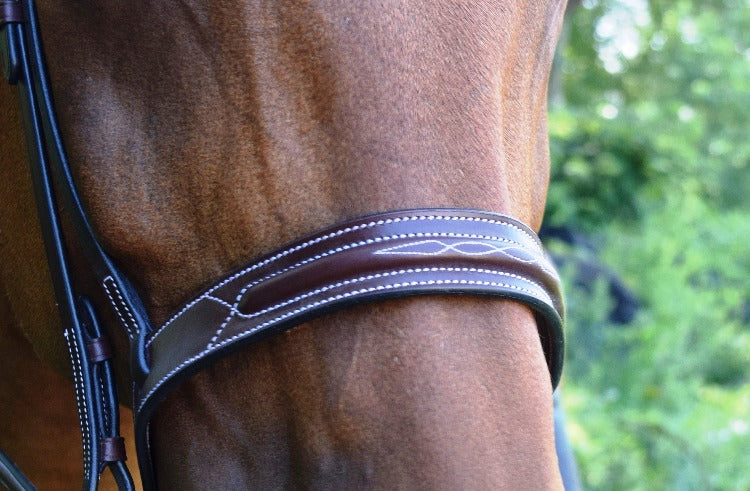 Noseband Detail