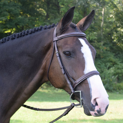 Black Oak Spruce Hunter Bridle