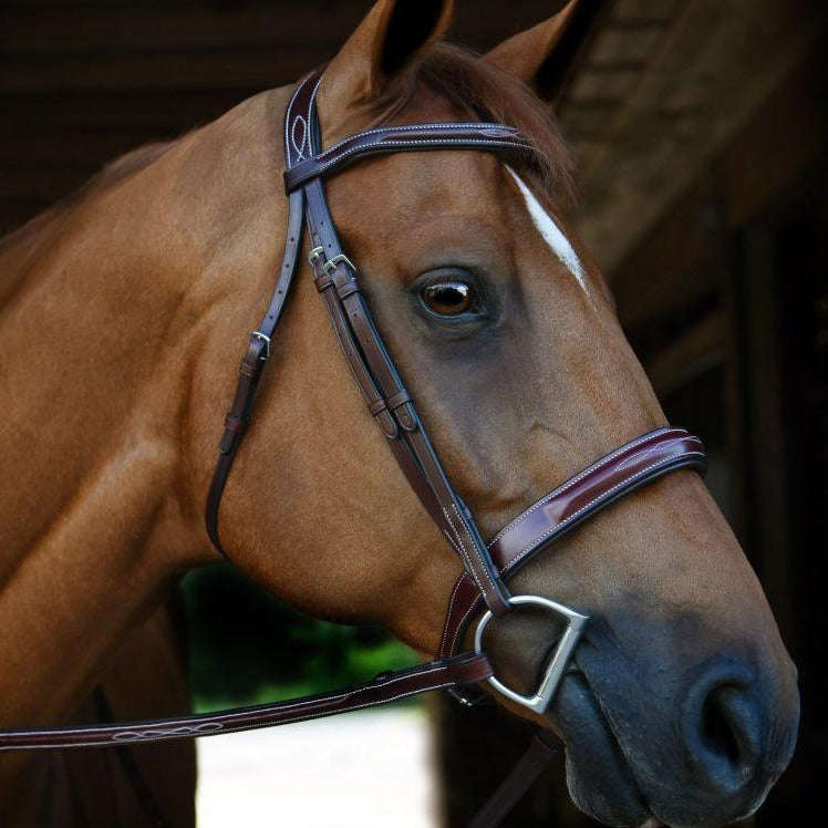 Red Barn Tuscany Hunter Bridle