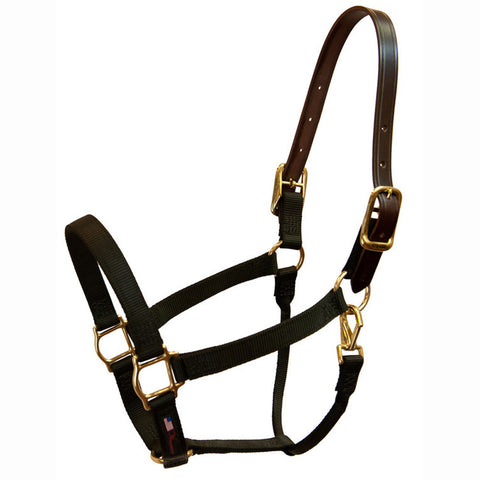 Walsh Breakaway 1" Halter w/ Straight Chin