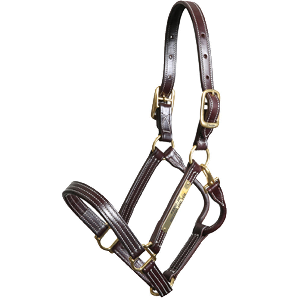 Walsh British Halter