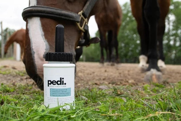 infused equestrian Pedi Hoof Conditioner