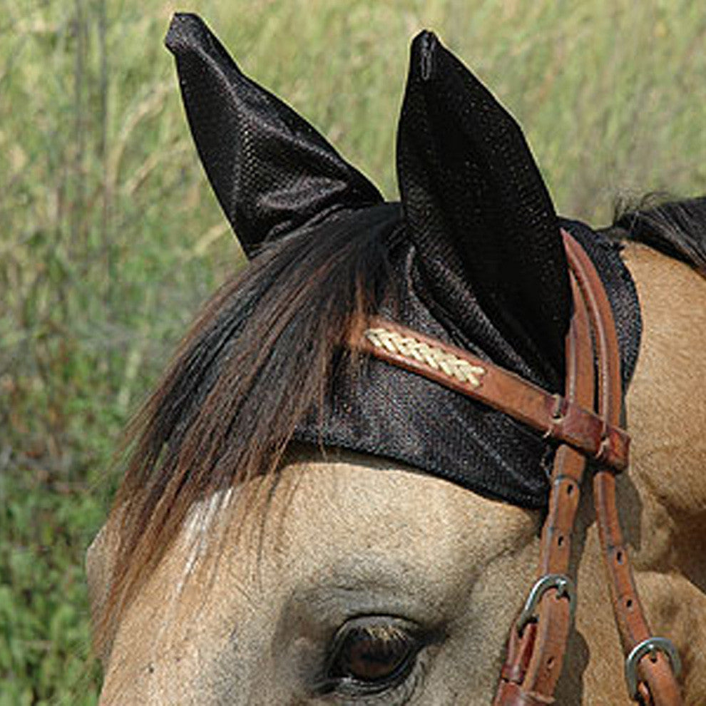 Cashel Comfort Ears