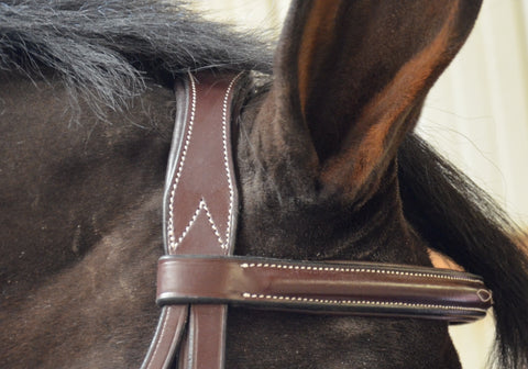 Black Oak Cyprus Hunter Bridle