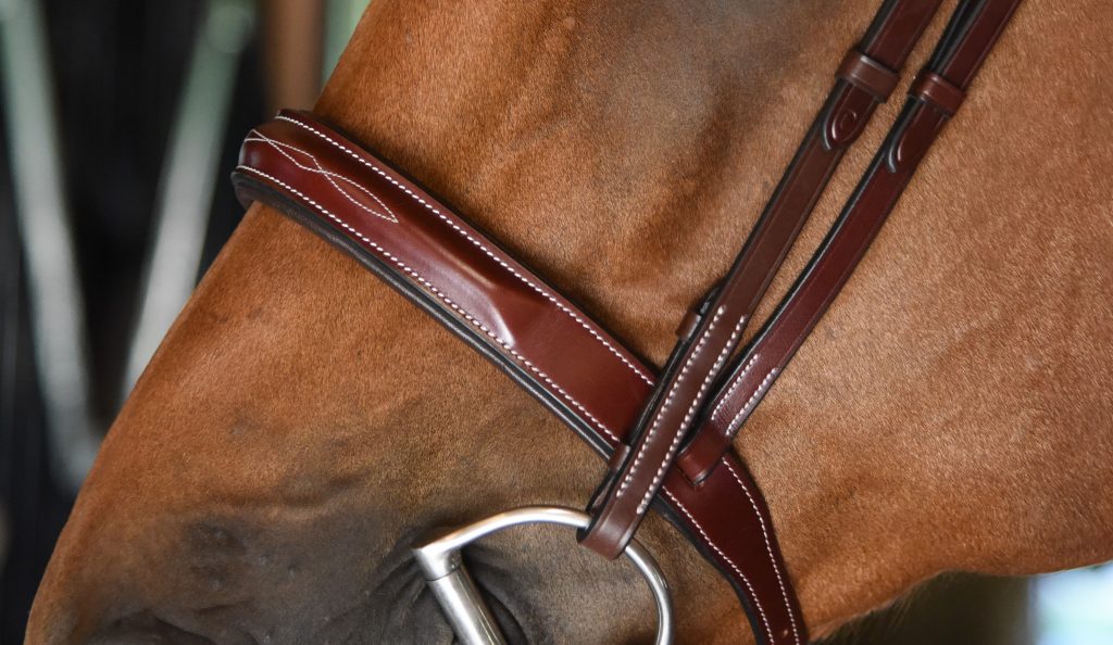 Red Barn Tuscany Hunter Bridle