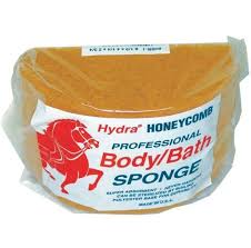 Hydra Honeycomb Body Sponge