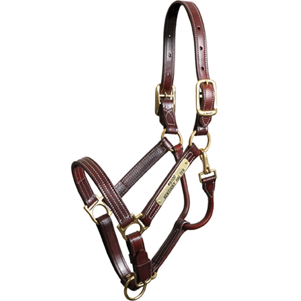 Walsh Kentucky Halter