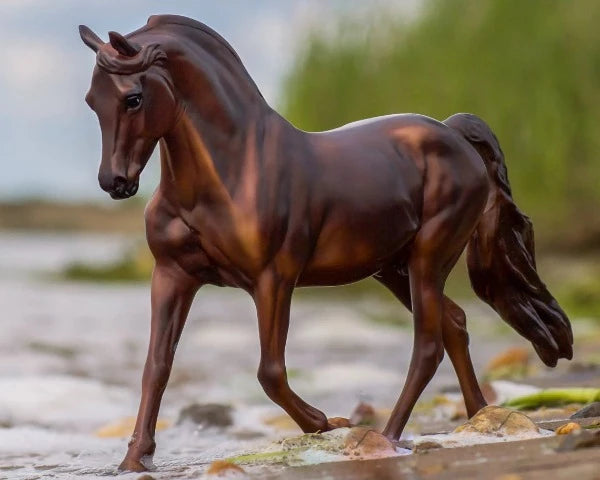 Breyer MorganQuest Native Sun - 1856