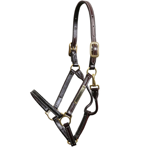 Walsh Showman Halter