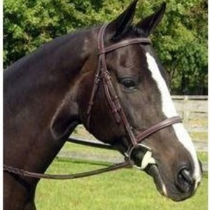 Red Barn Sovereign Bridle