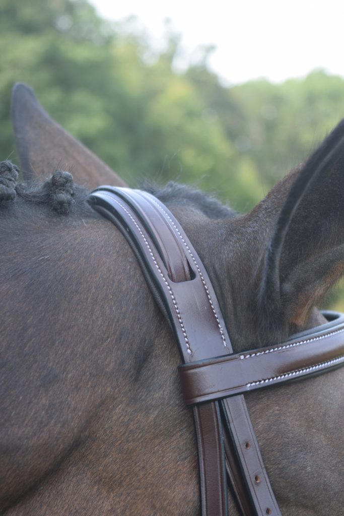 Red Barn Spirit Hunter Bridle