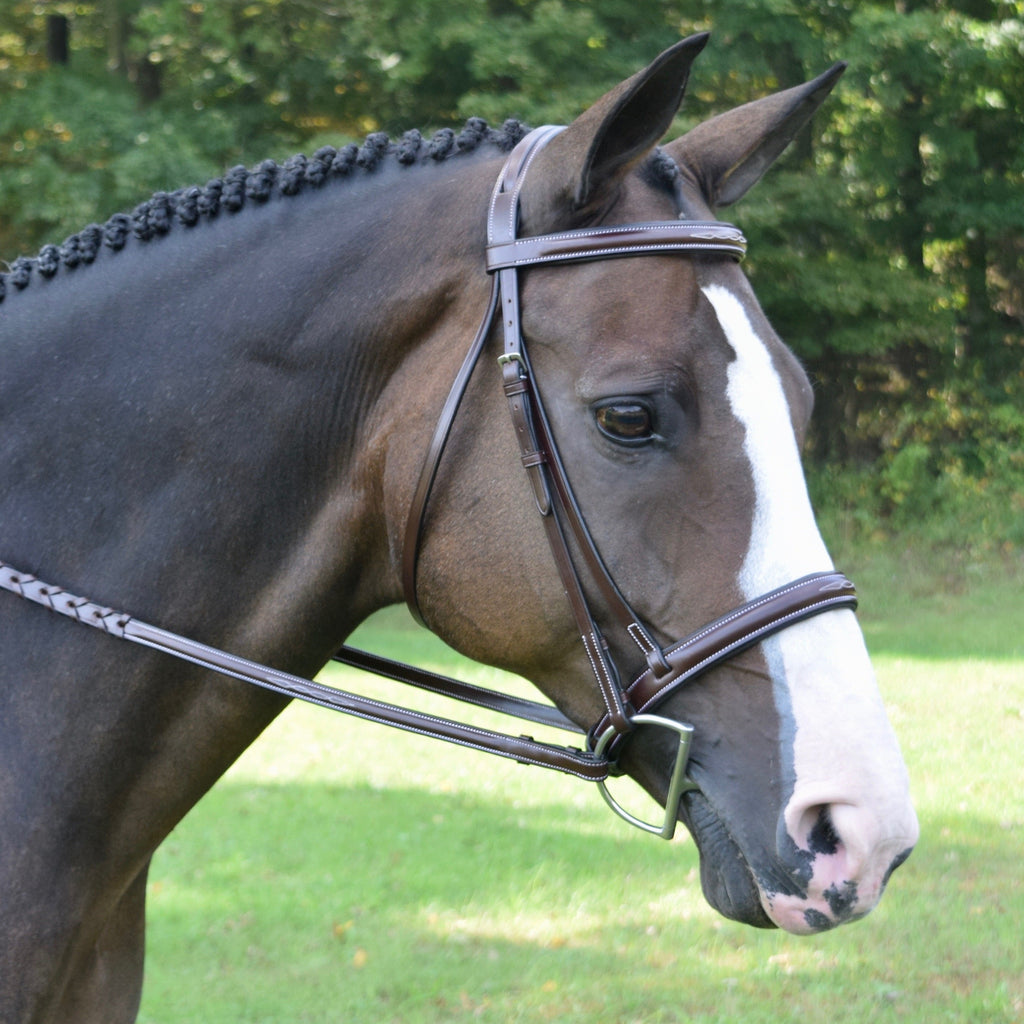 Red Barn Spirit Hunter Bridle